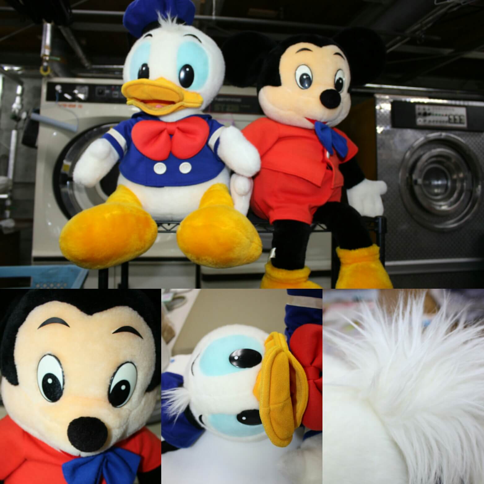 wp-1458034084579 ぬいぐるみが綺麗になりました