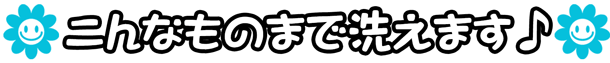 こんなものまで洗えます