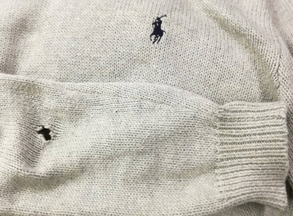 大き目の虫食い穴