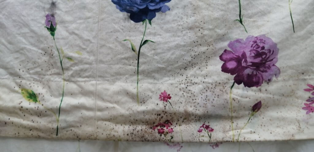 カーテンについたカビ